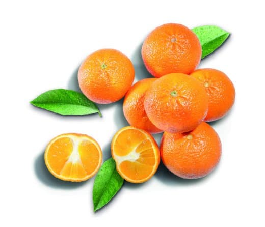 Klementina 1 kg Akcija u trgovini Spar
