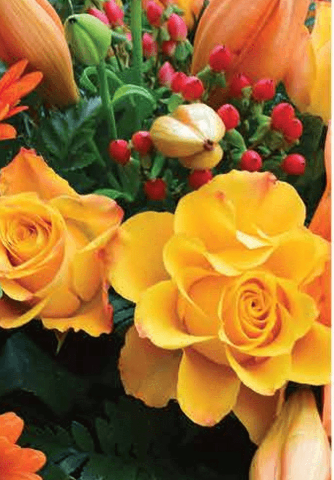 Umjetno cvijeće - Akcija u trgovini Plodine