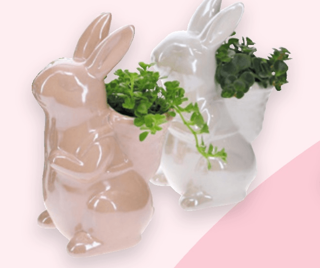 Aranžman Zeko 1 kom - Akcija u trgovini Spar