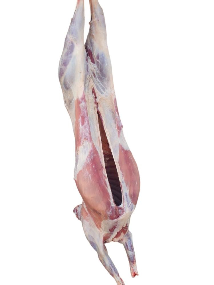 Mlada Janjetina - Akcija u trgovini Metro