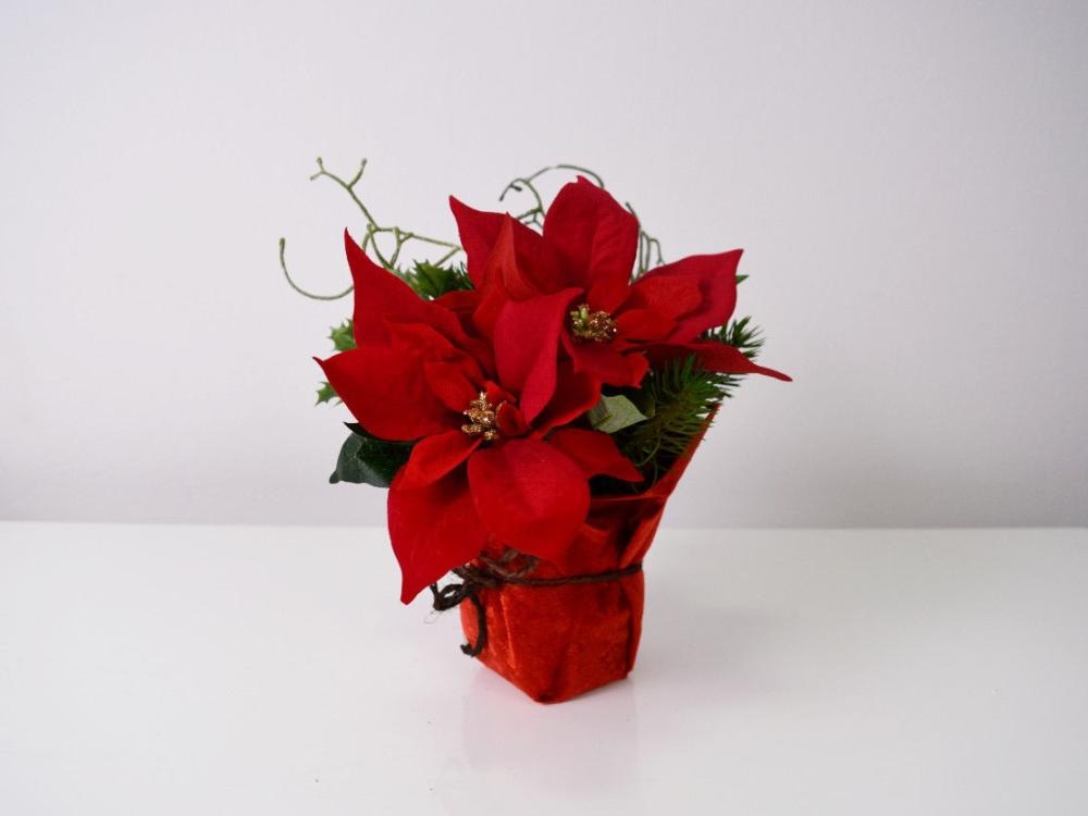 Božićna zvijezda u posudi vel. 23x13 cm - Akcija u trgovini KTC