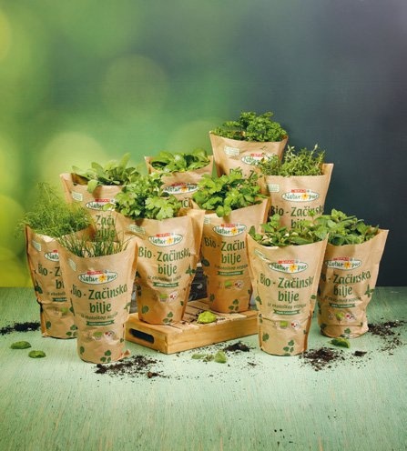 Bio začinsko bilje razne vrste, 1 kom Natur Pur - Akcija u trgovini Spar