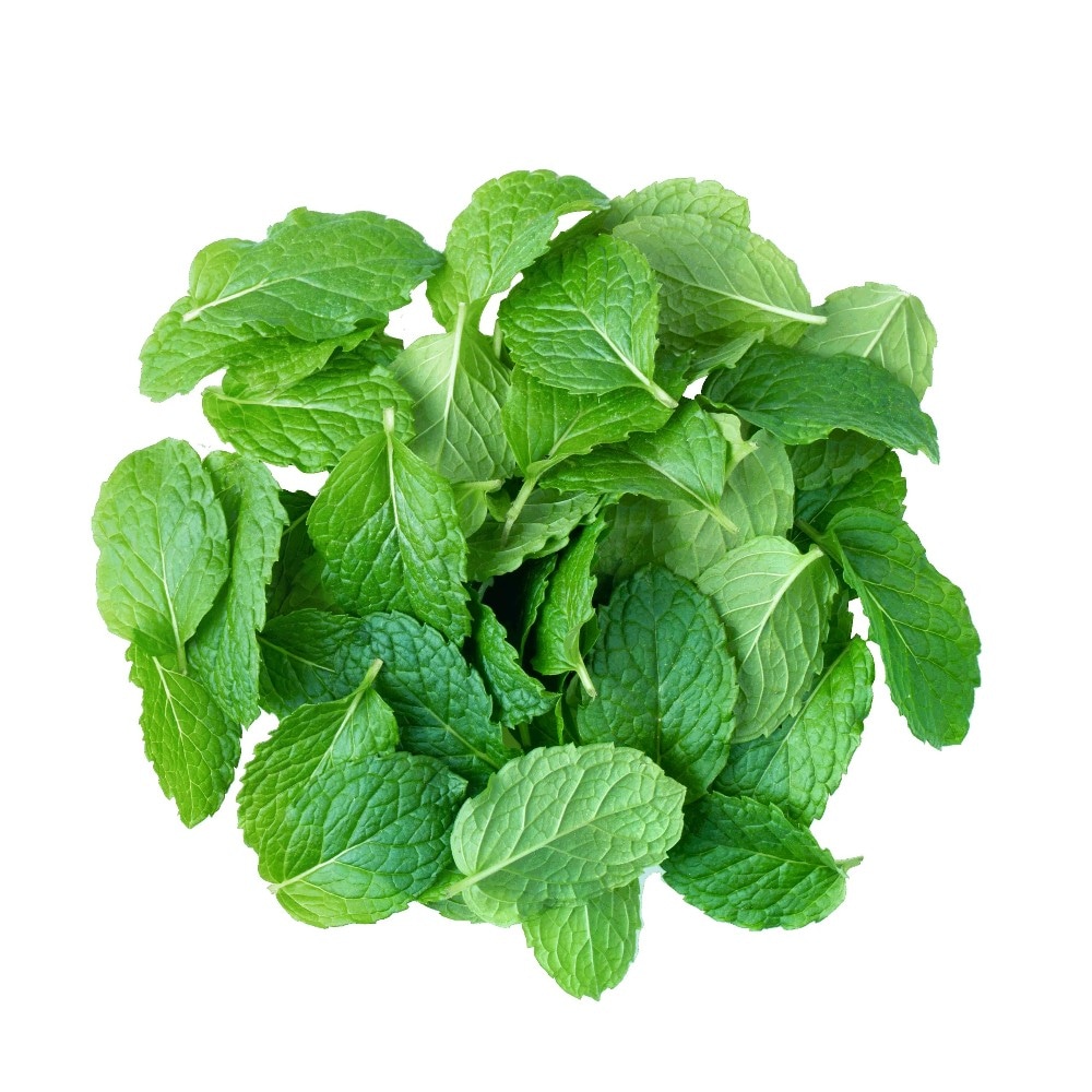 Domaća menta svježa komad - Akcija u trgovini Kaufland