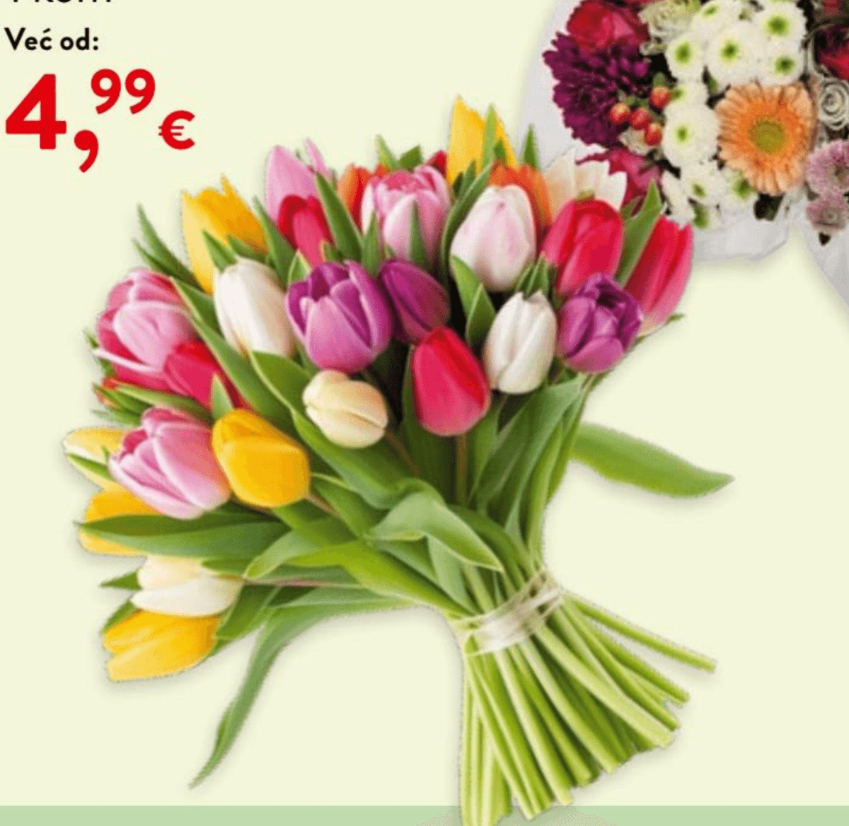 Buket sezonski ili buket tulipana 1 kom - Akcija u trgovini Interspar