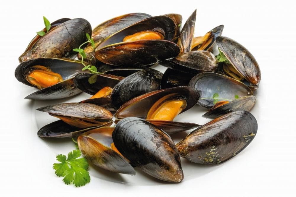 Bio dagnja 1 kg Akcija u trgovini Spar