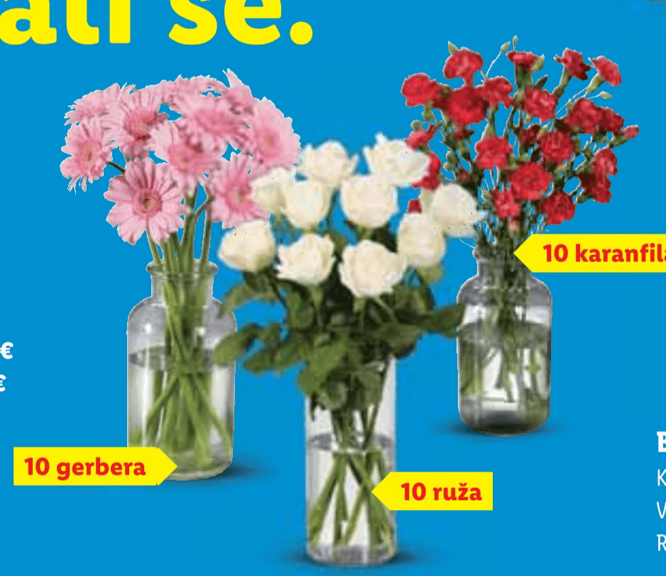 Rezano cvijeće - Ruže Komad - Akcija u trgovini Lidl