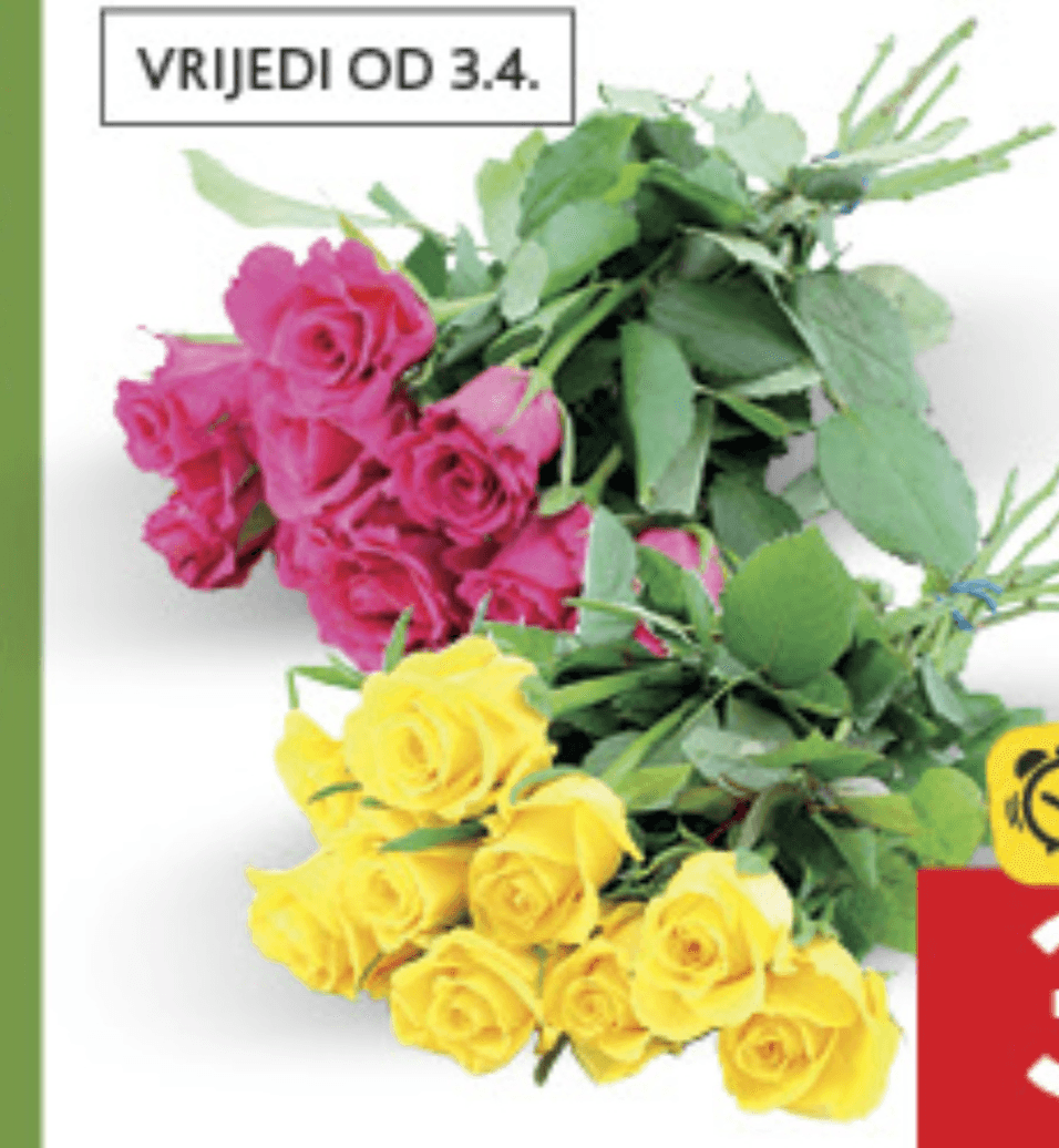 Buket 9 ruža kom - Akcija u trgovini Konzum