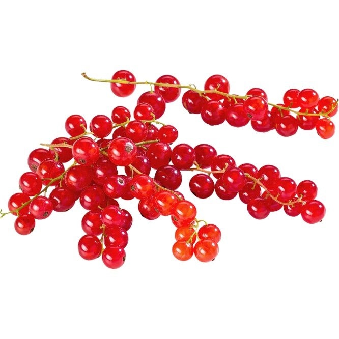 Ribizl crveni 125 g Akcija u trgovini Kaufland