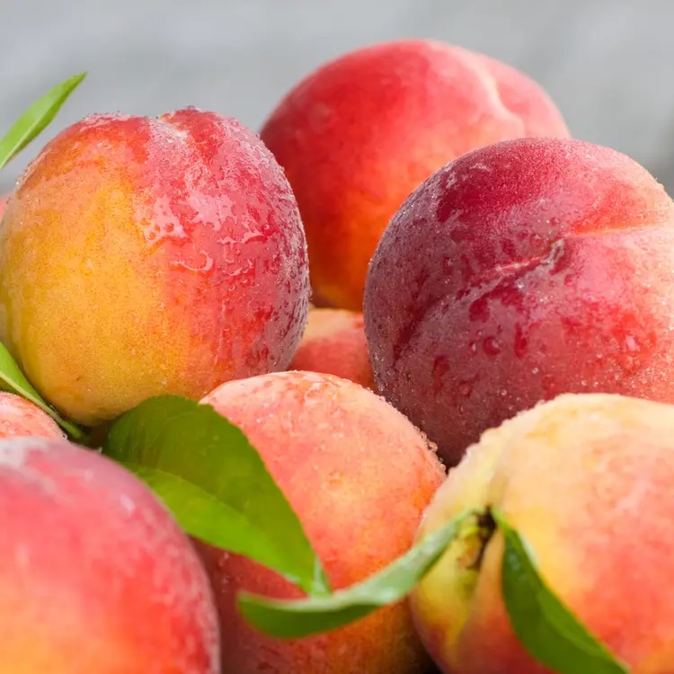 Sadnica breskve 180 cm - Akcija u trgovini Plodine