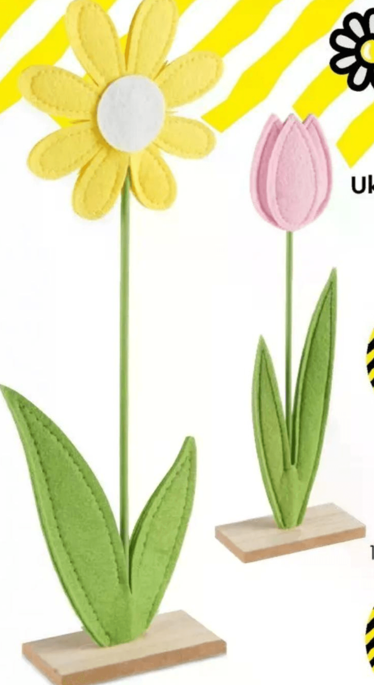 Ukrasni cvijet - Akcija u trgovini Tedi