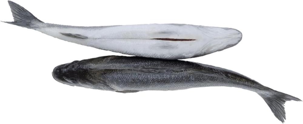 PHILOSOFISH Orada cca 650 g - Akcija u trgovini Kaufland