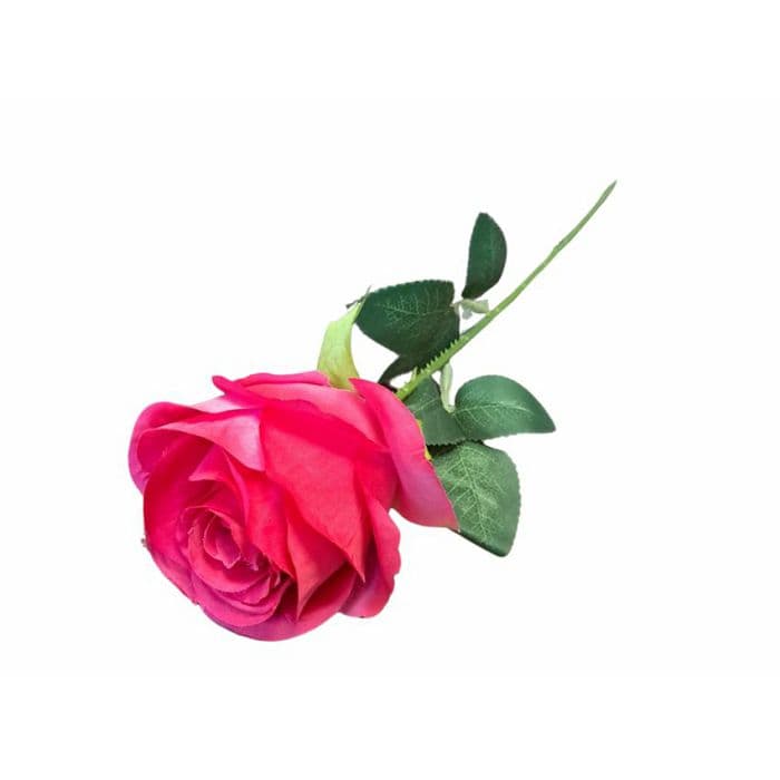 Ruža razne boje 59cm, kom Akcija u trgovini Konzum