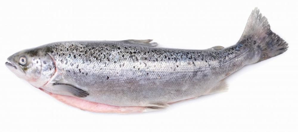 Svježa kalifornijska pastrva 1 kg Akcija u trgovini Spar