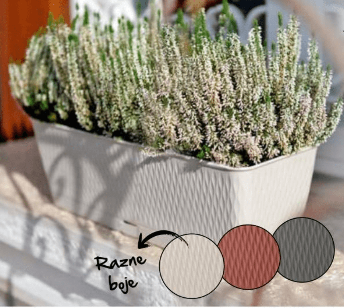 Žardinjera Liberty 1 kom - Akcija u trgovini Spar