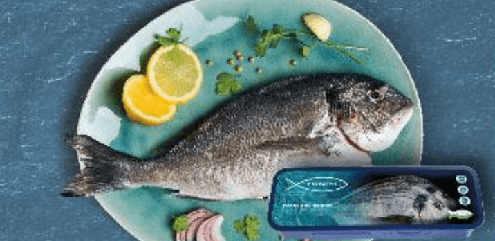 Philosophish Orada cca 650 g - Akcija u trgovini Kaufland