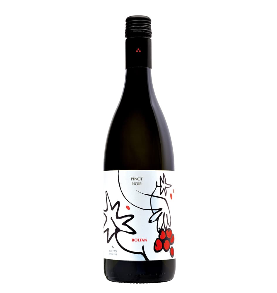 Pinot Crni Bolfan 0,75L Akcija u trgovini Vrutak