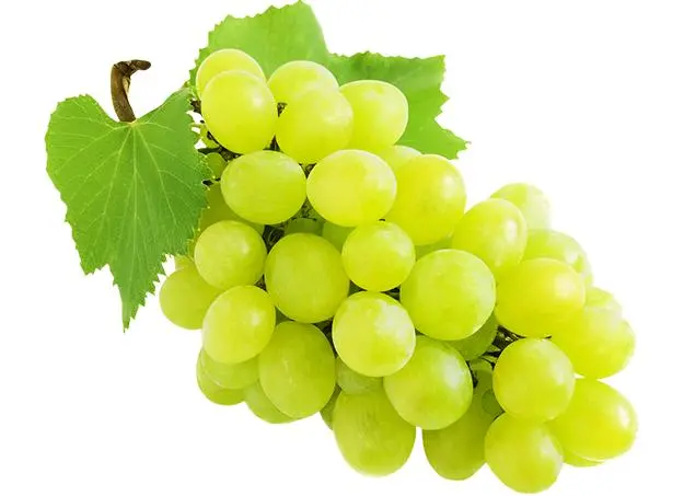 Grožđe bijelo/crno Akcija u trgovini Pivac
