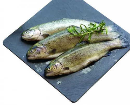 Svježa pastrva pakirana 1 kg Akcija u trgovini Konzum