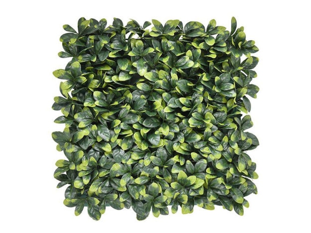 Zeleni zid Bayberry 50x50 cm - Akcija u trgovini Plodine