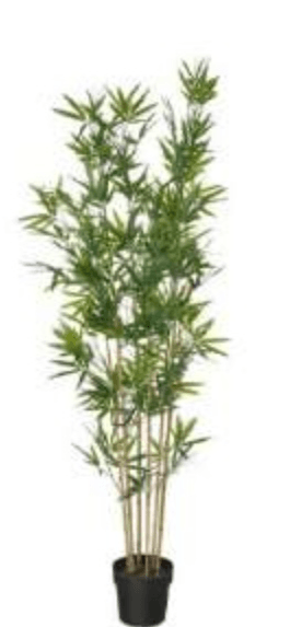 FEJKA Umjetna lončanica 21 cm - Akcija u trgovini Ikea