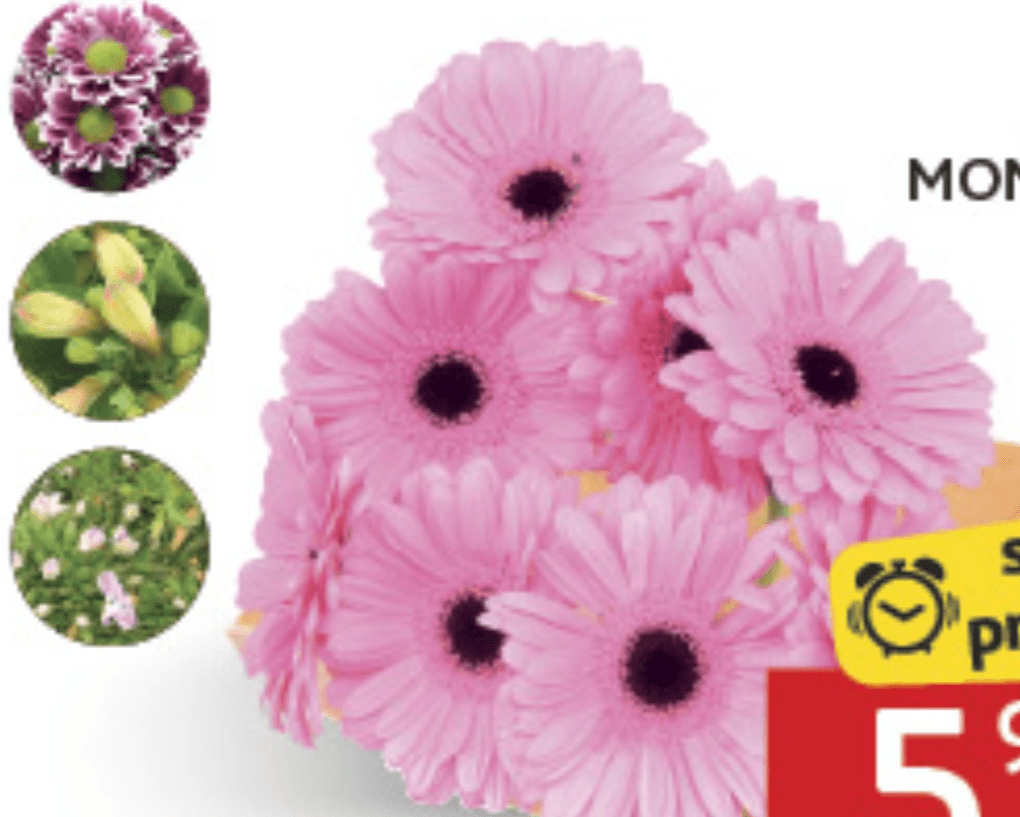 Buket Mono Mix kom Akcija u trgovini Konzum