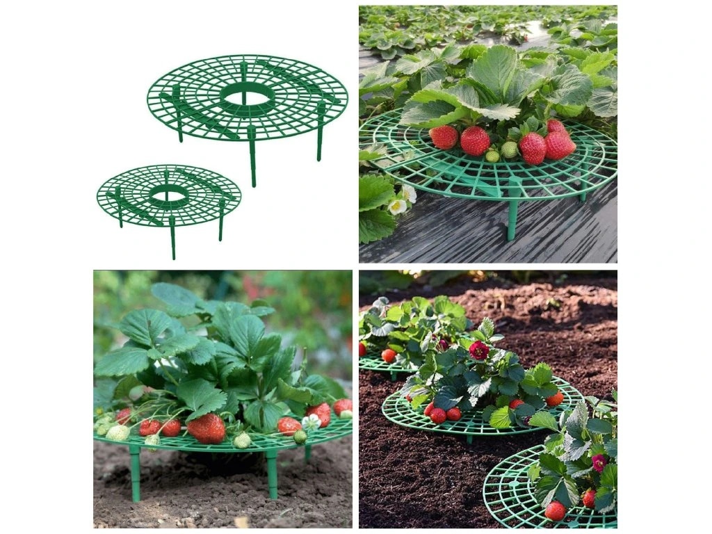 Stalak za jagode - Akcija u trgovini Grama