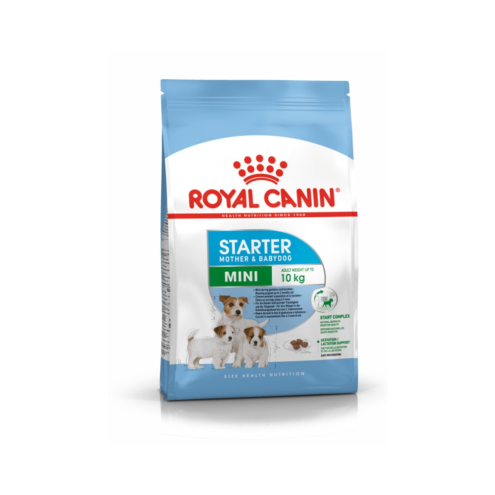 Royal Canin Mini Starter 1 kg - Akcija u trgovini Zoo City