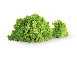 Domaća salata kristal