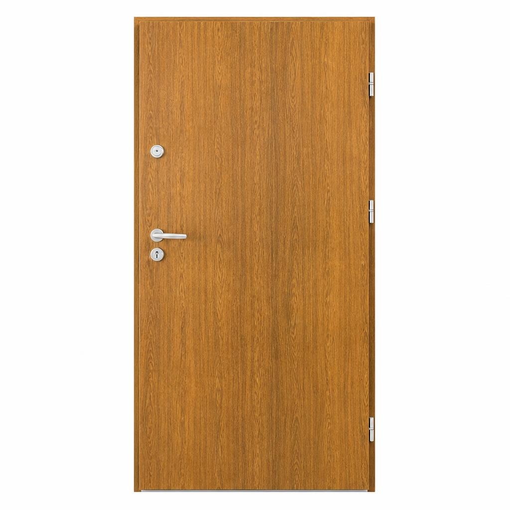Vigo vanjska ulazna metalna vrata 98x207,8 cm Akcija u trgovini Merkury
