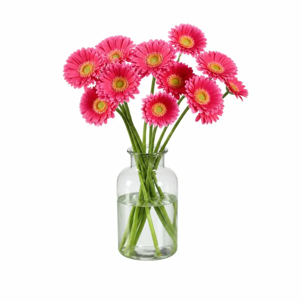 Rezano cvijeće Gerbera 10 komada Akcija u trgovini Lidl