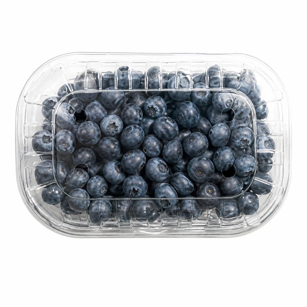 Borovnica 500 g Akcija u trgovini Plodine