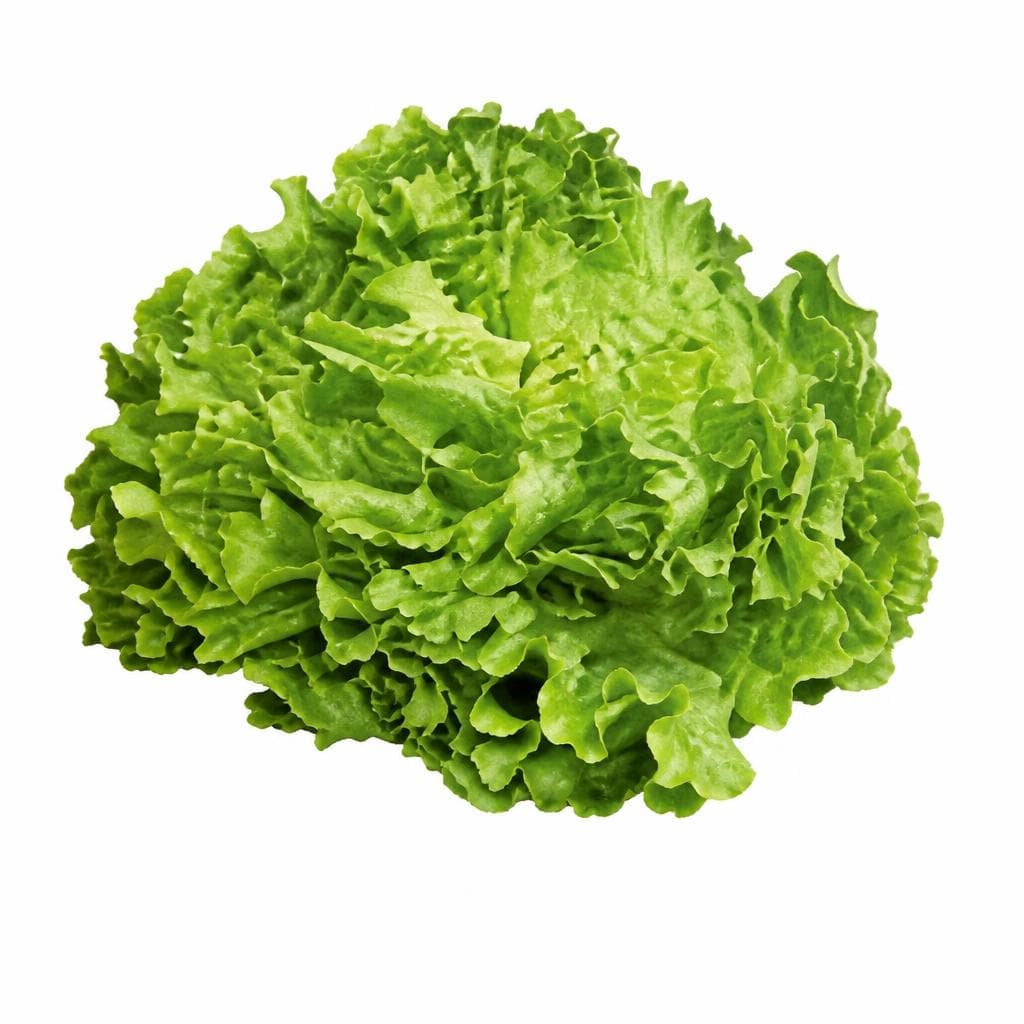 Domaća salata komad Akcija u trgovini Plodine