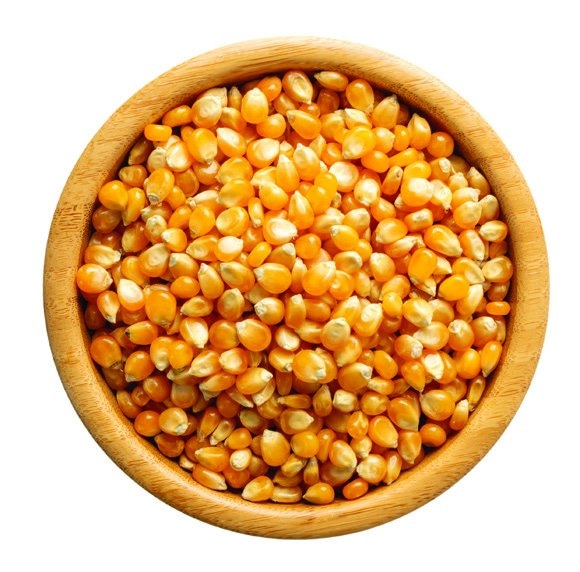 Kukuruz kokičar - Ribola katalog