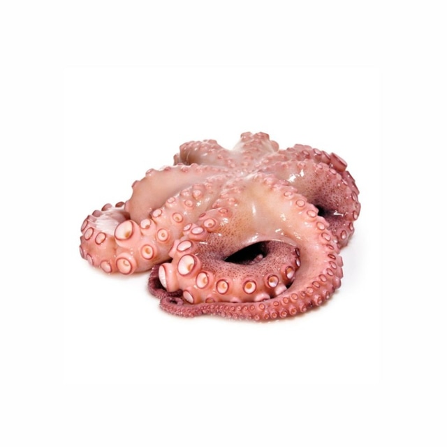 KOGO Hobotnica - Pivac katalog